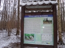A.Alkaitės nuotr.