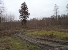 A.Alkaitės nuotr.