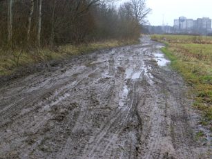 vilkai puola keliukas