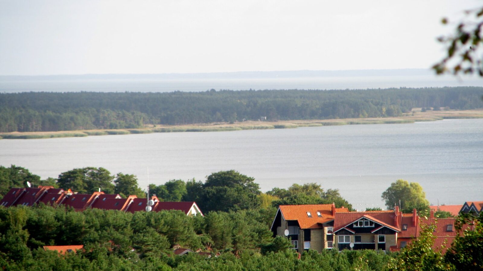 Neringa