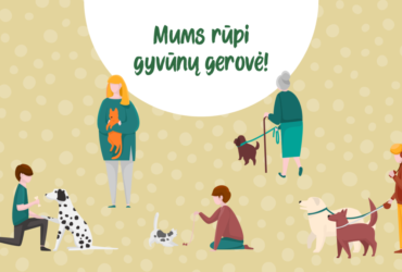 gyvūnai