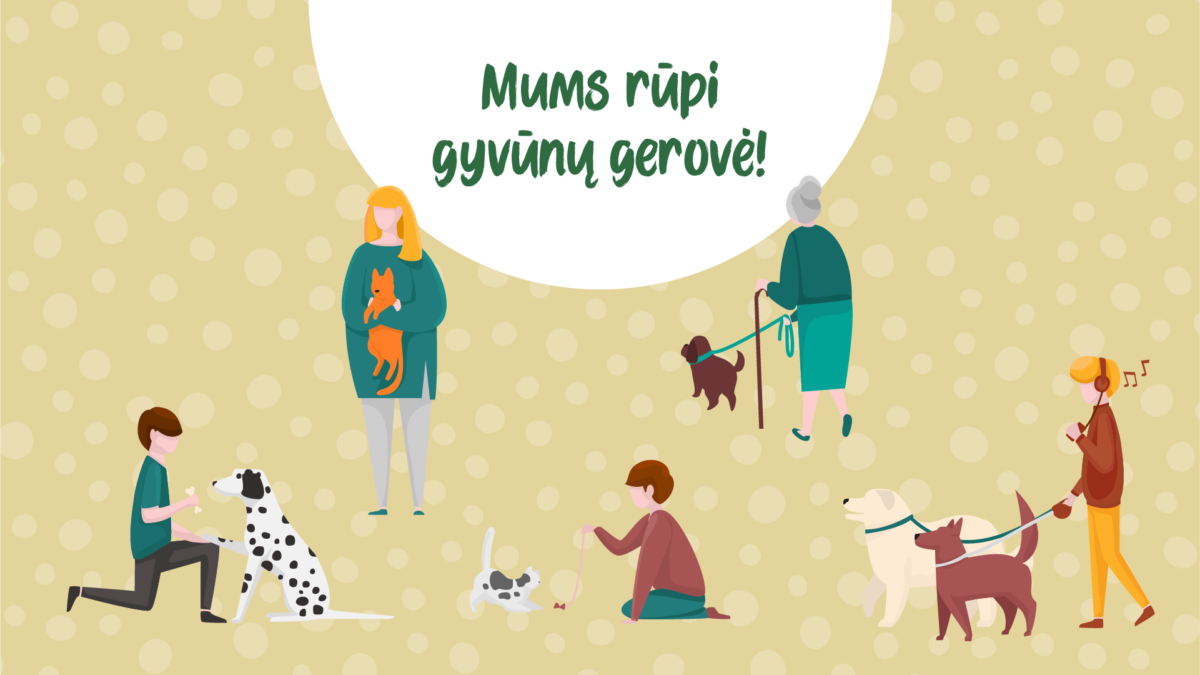 gyvūnai